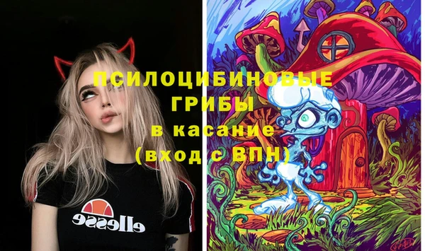 гидропоника Козельск