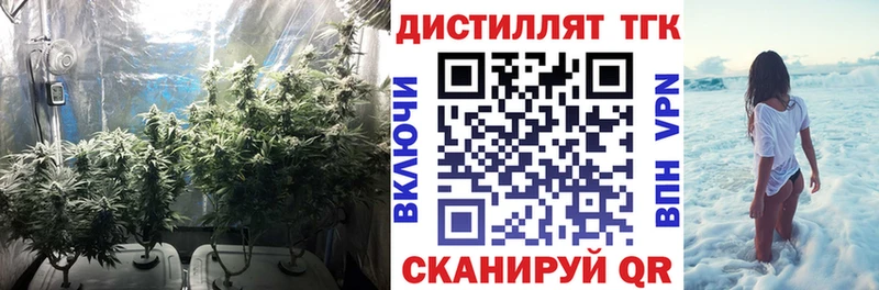 Купить закладки  Кувандык  Дистиллят ТГК жижа 